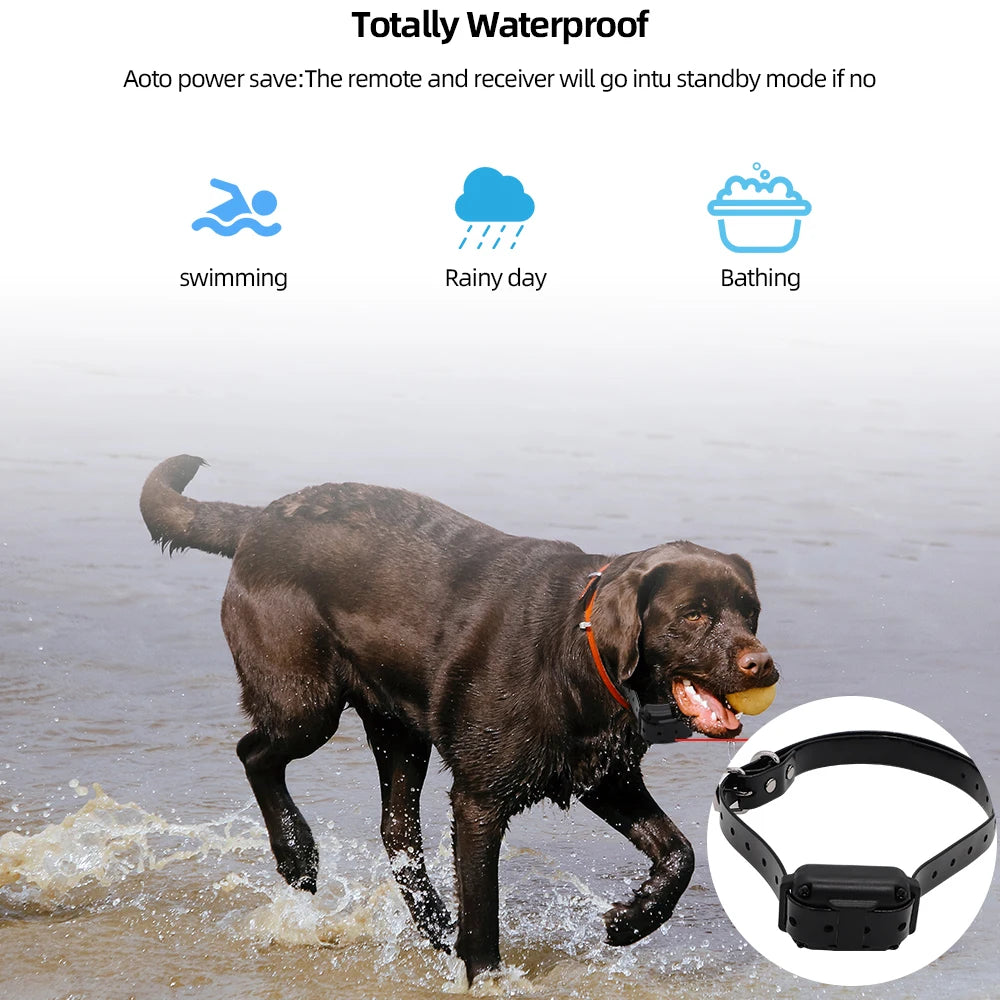Digital Dog Training Collar