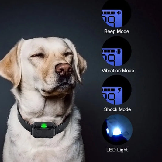 Digital Dog Training Collar